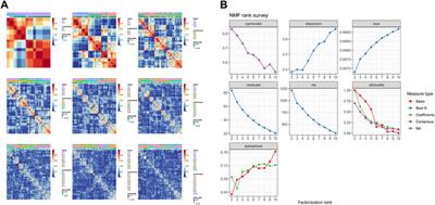 Identification of ubiquitination-related gene classification and a novel ubiquitination-related gene signature for patients with triple-negative breast cancer